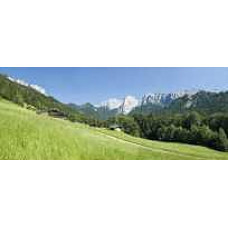 Gasthof Restaurant Hotel Schermer