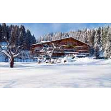 Panoramahotel Talhof