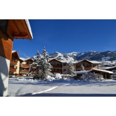 Hotel Aurach